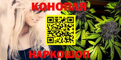 крисы Краснознаменск