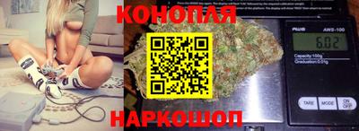 крисы Краснознаменск